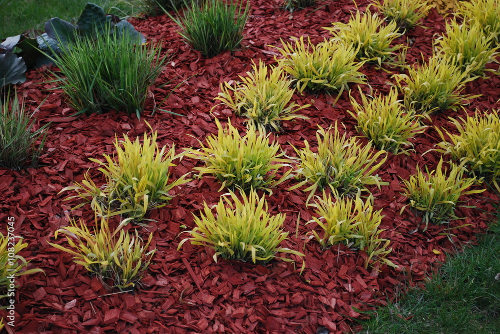 Avoid Wet Mulch